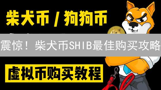 震惊！柴犬币SHIB最佳购买攻略：手续费竟能省这么多？