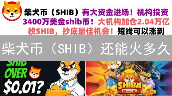 柴犬币（SHIB）还能火多久？投资前必看：风险、机遇与未来展望！