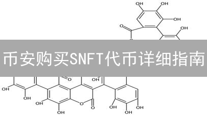 币安购买SNFT代币详细指南：新手必备教程