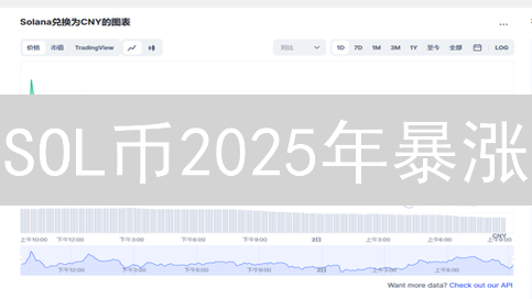 SOL币2025年暴涨？三大因素决定你的财富密码！
