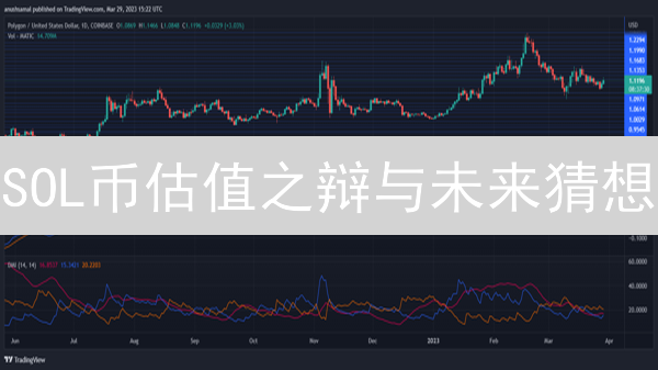 SOL币估值之辩与未来猜想：技术、生态与市场前景分析