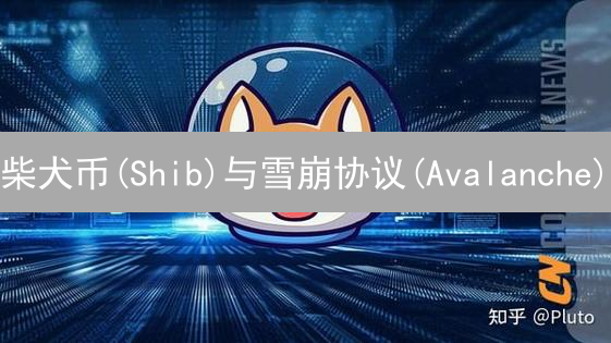 柴犬币(Shib)与雪崩协议(Avalanche)：全面对比分析