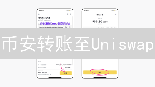 币安转账至Uniswap：新手必看！以太坊交易指南