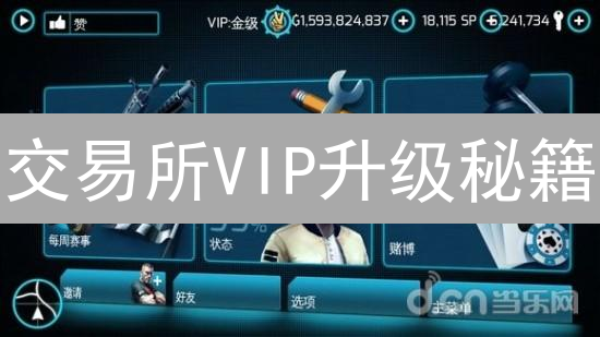 交易所VIP升级秘籍：交易量、持仓量、资产量全攻略！