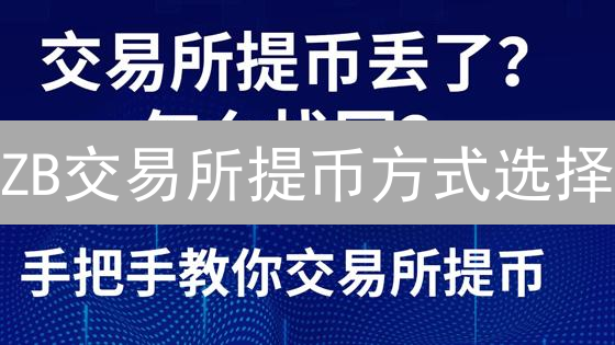 ZB交易所提币方式选择：详细指南与安全策略