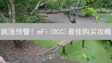疯涨预警！mFi(OCC)最佳购买攻略：新手必看，错过血亏！