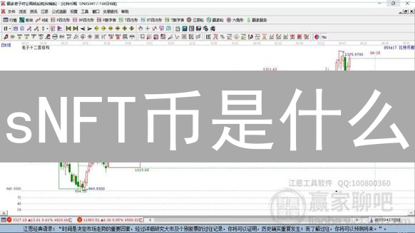 sNFT币是什么？可分割NFT的革命性演进