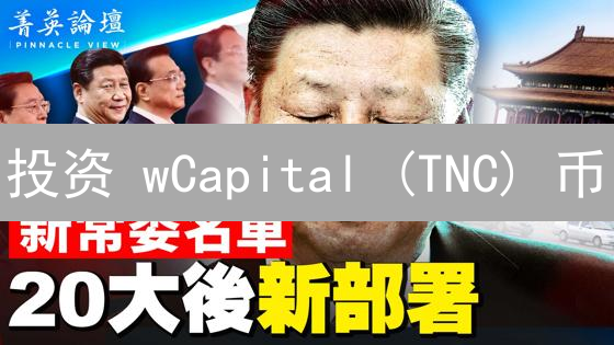 投资 wCapital (TNC) 币？新手必看购买指南！